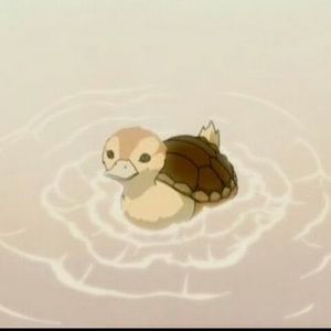 Meet your Posher, Tortle